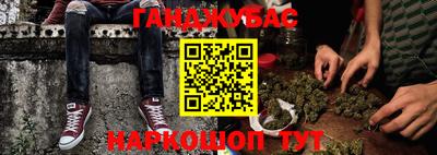 прущие грибы Нальчик