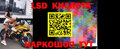 прущие грибы Нальчик