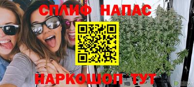 прущие грибы Нальчик