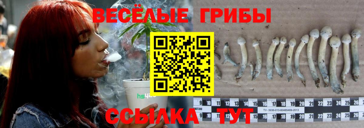 Псилоцибиновые грибы прущие грибы  Вход с VPN  где можно купить   Ялта 