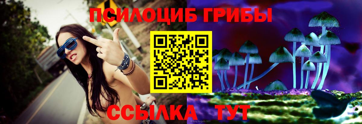 Псилоцибиновые грибы мицелий Ялта